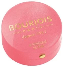 Bourjois Little Rount Pot Blush 095 Rose De Jaspe 24 Bourjois Little Rount Pot Blush 095 Rose De Jaspe -Mooi Leven 1129x1200 2