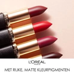 L'Oréal Paris Make-Up Designer Color Riche Matte Addiction - 652 Stone - Lipstick -Mooi Leven 1200x1198 25