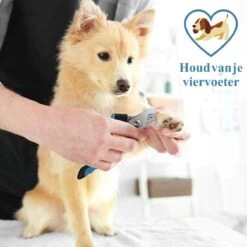 Merkloos Nagelknippper Hond Nagelknipper Kat + E-BOOK - Nagelschaar Hond - Nagelschaar Kat - Honden Nagelknipper - Nagelvijl Hond - Nageltang Hond - Nagelknipper Hond Veiligheidsstop - Nagel Hond - Bwa Commerce -Mooi Leven 1200x1200 1777