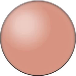 Bourjois Little Rount Pot Blush 003 Brown 13 Bourjois Little Rount Pot Blush 003 Brown -Mooi Leven 1200x1200 289