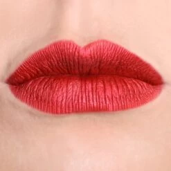 Blèzi® Lip Fix 95 Gracious Red - Lipstick - Lippenstift Langhoudend - Rood Bruin -Mooi Leven 1200x1200 459