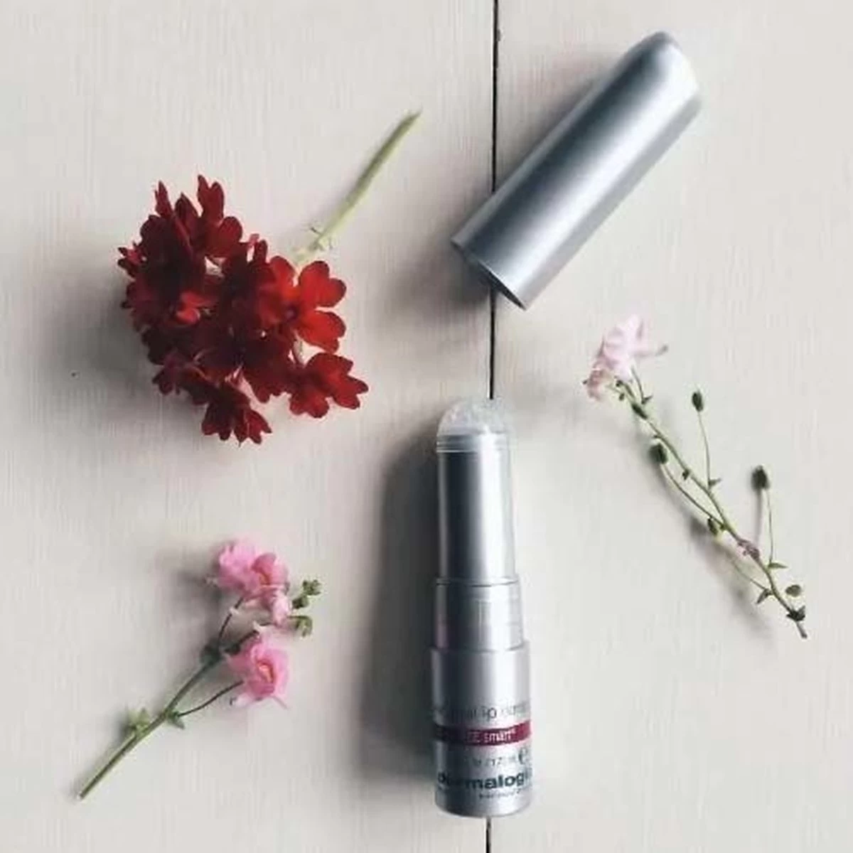 Dermalogica Renewal Lip Complex Lipenbalsem - 1.75 Ml 4 Dermalogica Renewal Lip Complex Lipenbalsem - 1.75 Ml - Afbeelding 2