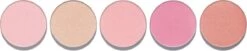 L'Oréal Paris Infaillible Blush Paint - 01 Pink - Blush Palet 8 L'Oréal Paris Infaillible Blush Paint - 01 Pink - Blush Palet -Mooi Leven 1200x246