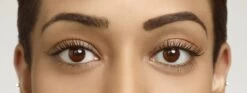 Rimmel London Brow This Way Wenkbrauwpoeder - 002 Bruin -Mooi Leven 1200x452