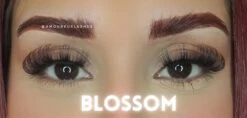 Merkloos Nep Wimpers Russisch Volume- Blossom Wimperextension Lashes -Mooi Leven 1200x571 1