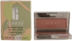 Clinique Blushing Blush Powder Blush - 120 Bashful Blush 32 Clinique Blushing Blush Powder Blush - 120 Bashful Blush -Mooi Leven 1200x687