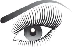 L’Oréal Paris False Lash Superstar Red Carpet Mascara - Zwart 14 L’Oréal Paris False Lash Superstar Red Carpet Mascara - Zwart -Mooi Leven 1200x787 1