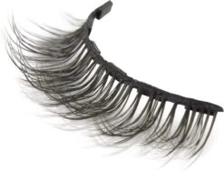 Easylash Daily - Magnetische Wimpers Met Eyeliner – Nepwimpers – Wimperextentions – Wimpers – 1 Paar Wimpers Met Eyeliner – Natuurlijke Look -Mooi Leven 1200x915