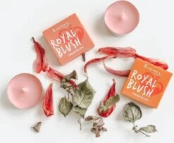 Rimmel London Rimmel - Royal Blush Cream Blush 4 G 002 Majestic Pink - 9 Rimmel London Rimmel - Royal Blush Cream Blush 4 G 002 Majestic Pink - -Mooi Leven 1200x985